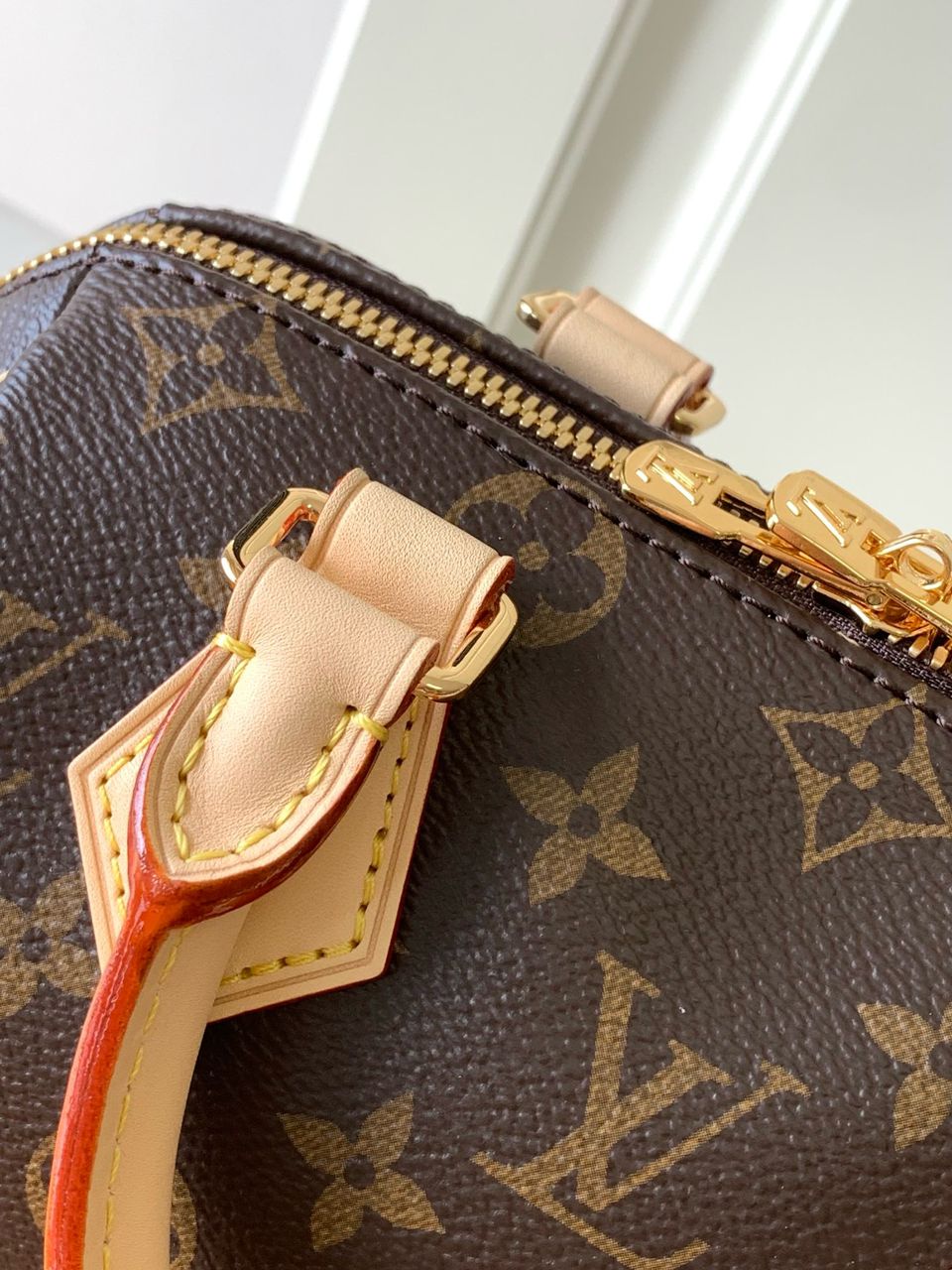 LV M46234 Speedy