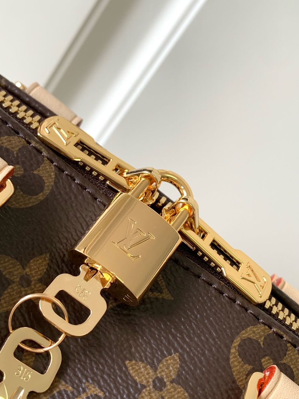 LV M46234 Speedy